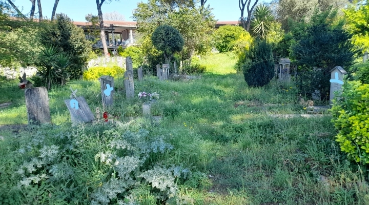 A Roma la dignità per i defunti viene sepolta con loro, Italia dei Diritti a muso duro contro l'amministrazione capitolina