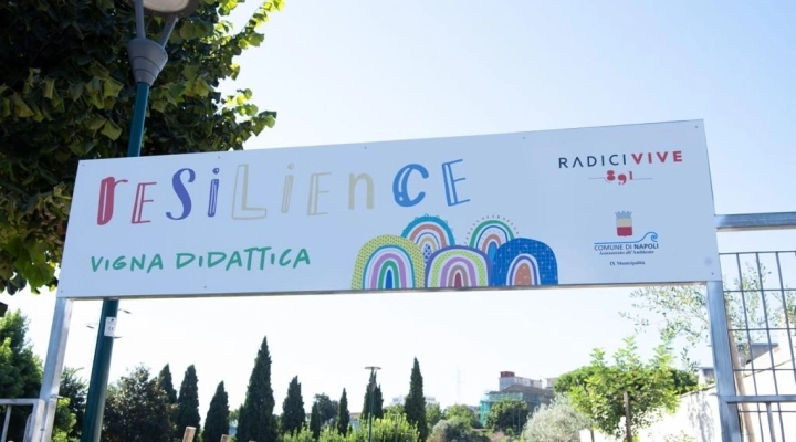 A Napoli la prima vigna gestita dagli studenti delle periferie: ecco il progetto Vigna Resilience
