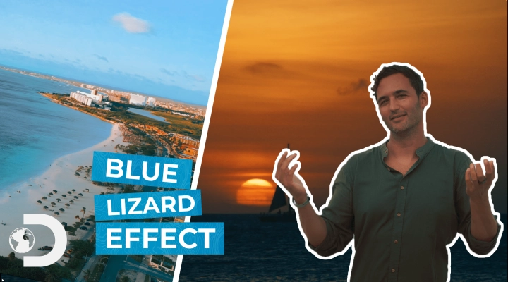 Blue Lizard Effect: il nuovo documentario che, in maniera completamente inedita, racconta cosa rende Aruba l’Isola più Felice del mondo