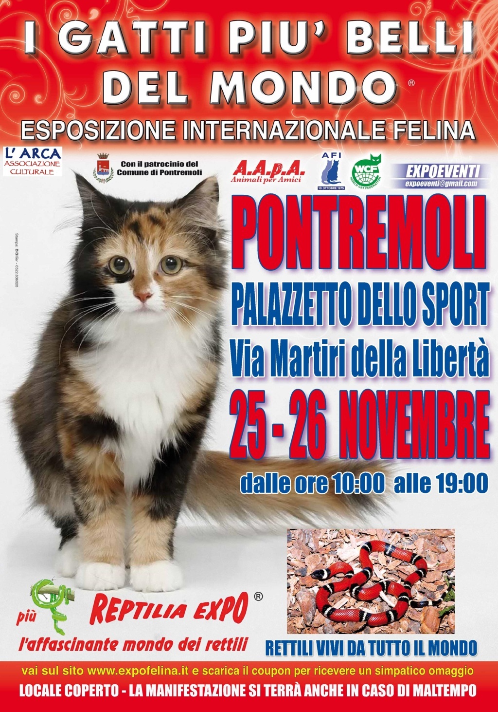 I GATTI PIU' BELLI DEL MONDO al Palazzetto dello Sport di PONTREMOLI - Esposizione Internazionale Felina