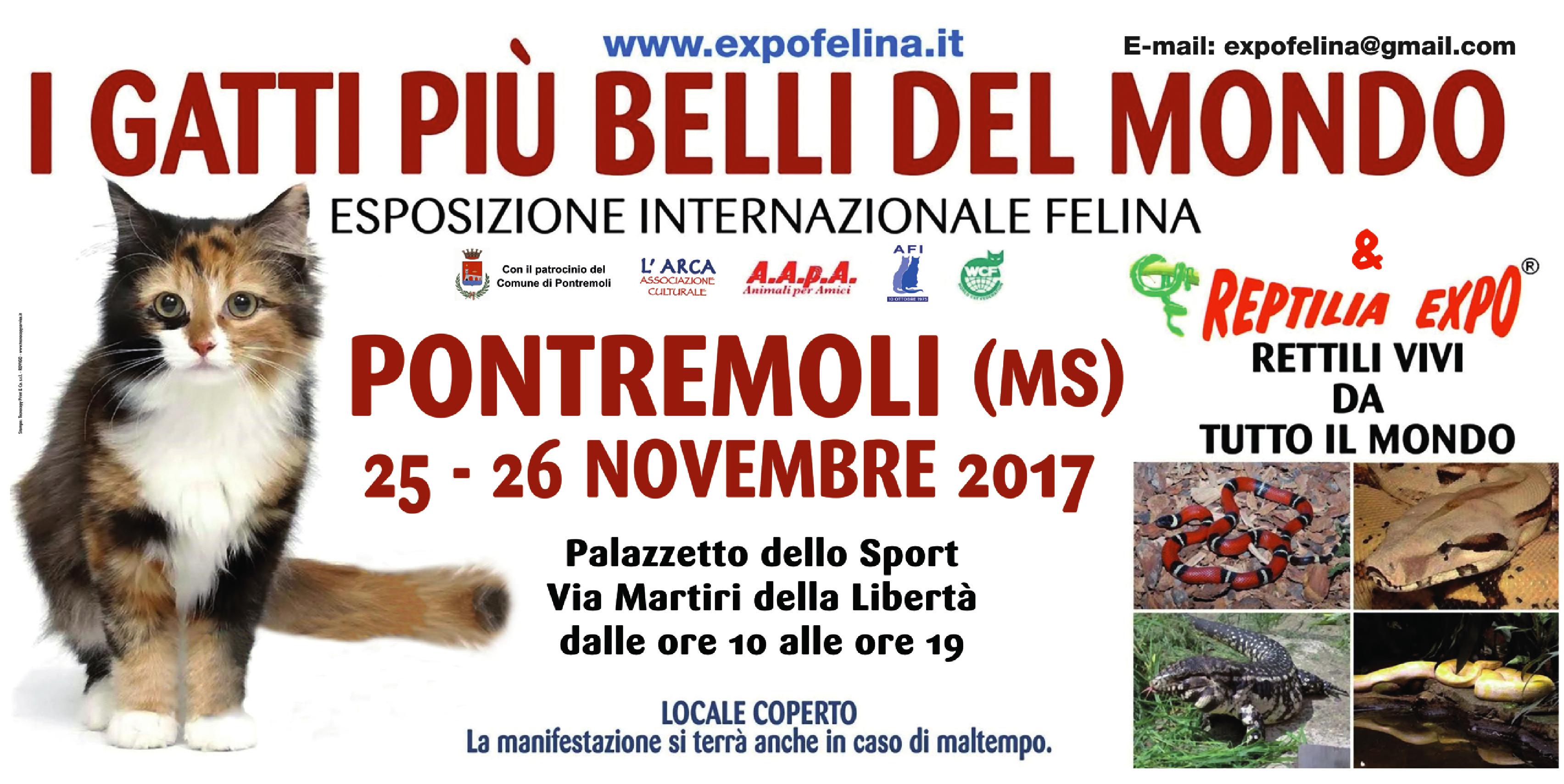 Sabato 25 e domenica 26 Novembre il Palazzetto dello Sport di PONTREMOLI (Ms) ospiterà  I Gatti Più Belli del Mondo e i Rettili più Affascinanti della Terra.