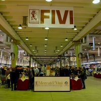 SCARPE GROSSE E CERVELLO FIVI:  IN 15.000 A PIACENZA PER ABBRACCIARE I VIGNAIOLI INDIPENDENTI