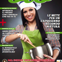 IL NUOVO NUMERO DI DIMENSIONE BIO E’ IN EDICOLA CON LO SPECIALE “GREEN CHRISTMAS “:  MOLTI I CONSIGLI PER RENDERE VERDE IL PROPRIO NATALE