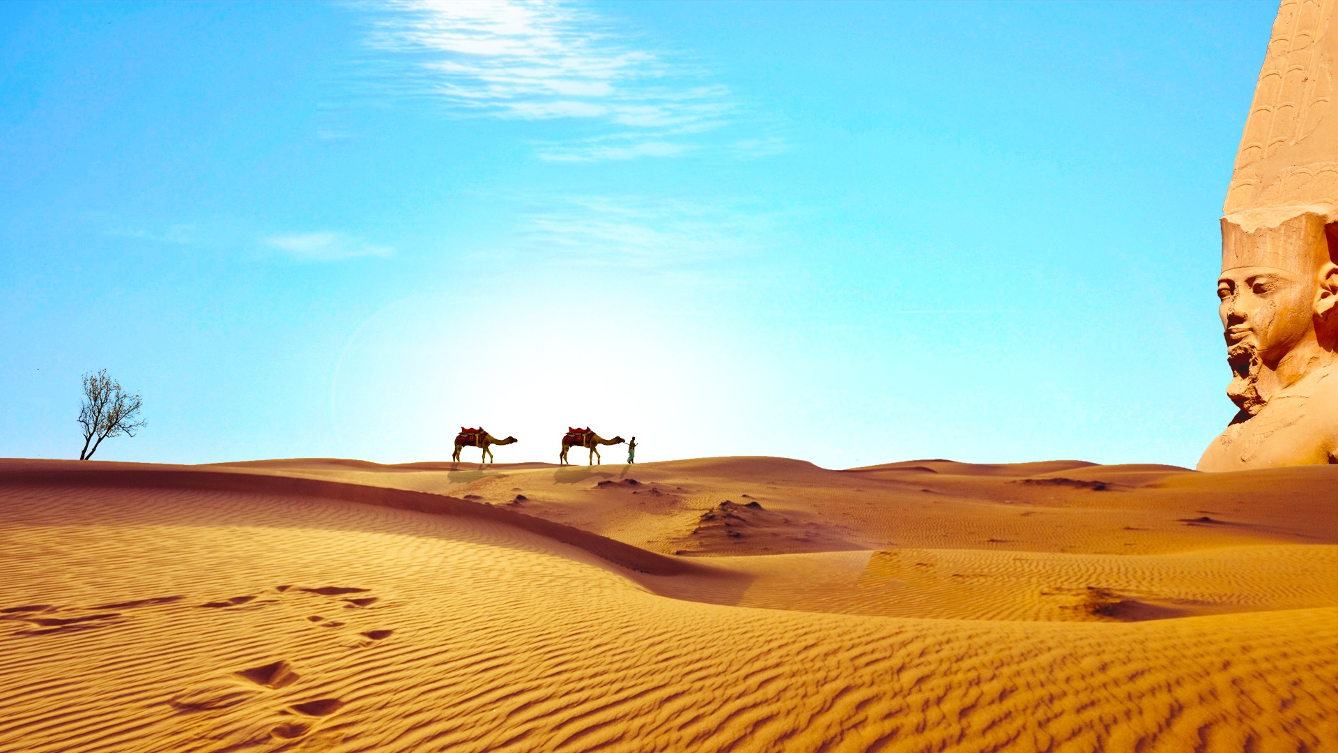 Una mostra sulle antiche civiltà del Sahara I TUAREG TRA MARI DI SABBIA E ROCCE