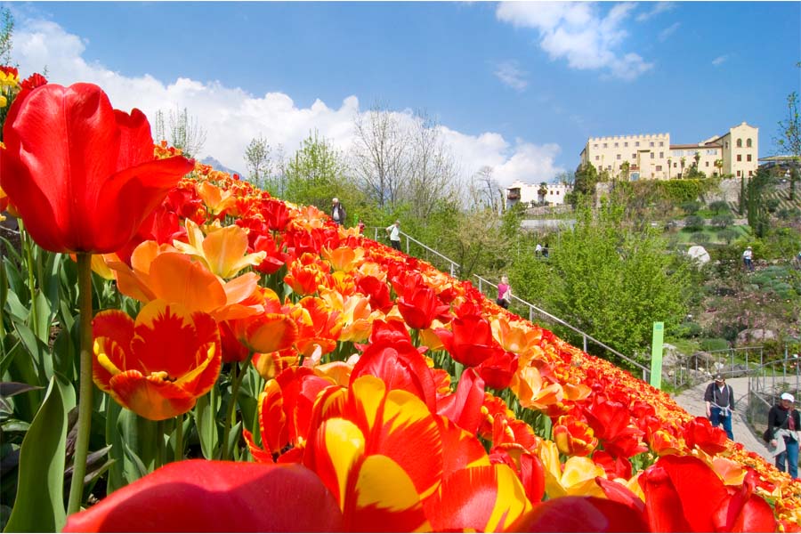 DAL 30 MARZO SBOCCIANO I GIARDINI DI SISSI 