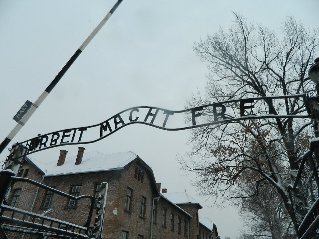 Auschwitz: Un pensiero per la Giornata della Memoria 1945-2018. (Scritto da Antonio Castaldo)