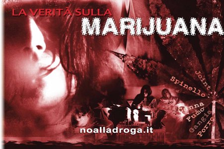 DA 4 SETTIMANE A UTA SI DIFFONDE LA VERITA' SULLA DROGA