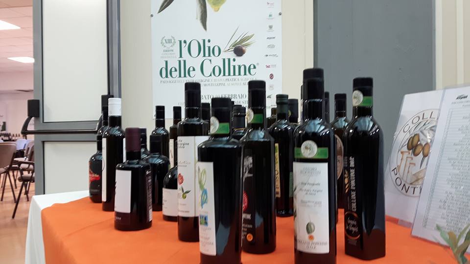  L’Olio delle Colline: i vincitori della XIII edizione