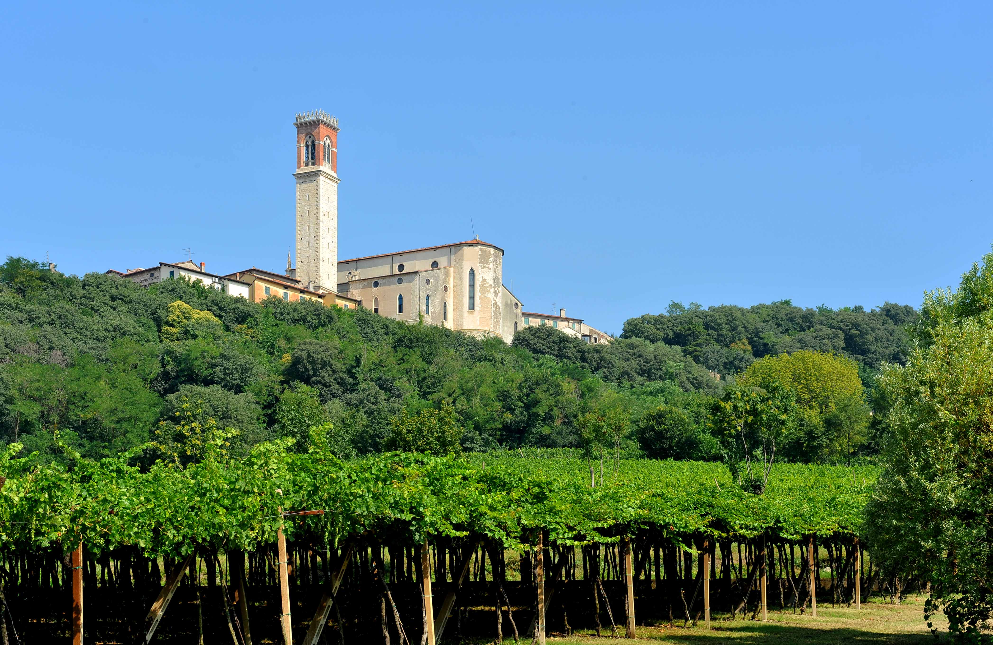 SOPRA E SOTTO I COLLI BERICI:  UN TERRITORIO PRONTO A STUPIRE