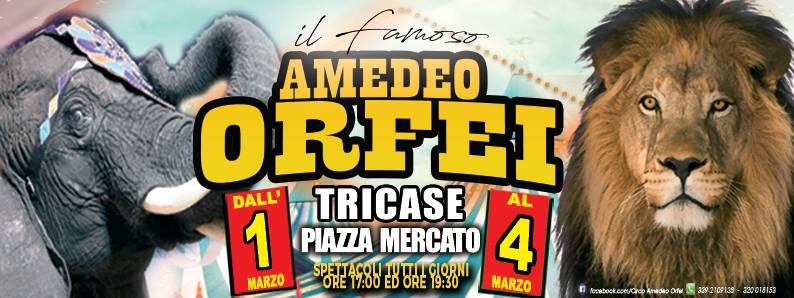 Lo show che affascina il Salento, è Il  Circo  Amedeo Orfei,  tappa a Tricase dall’ 1al 4 marzo 