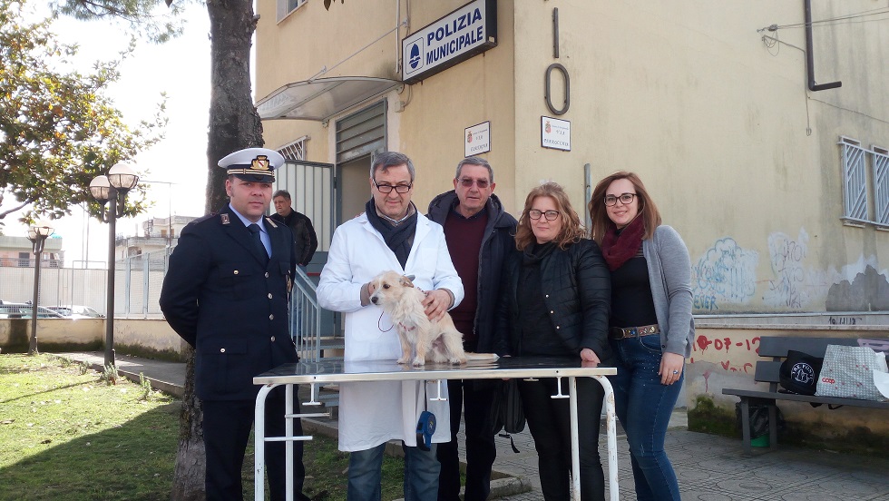 Mariglianella: Comune e Asl Na 3 Sud insieme per incrementare le iscrizioni all’Anagrafe Canina.