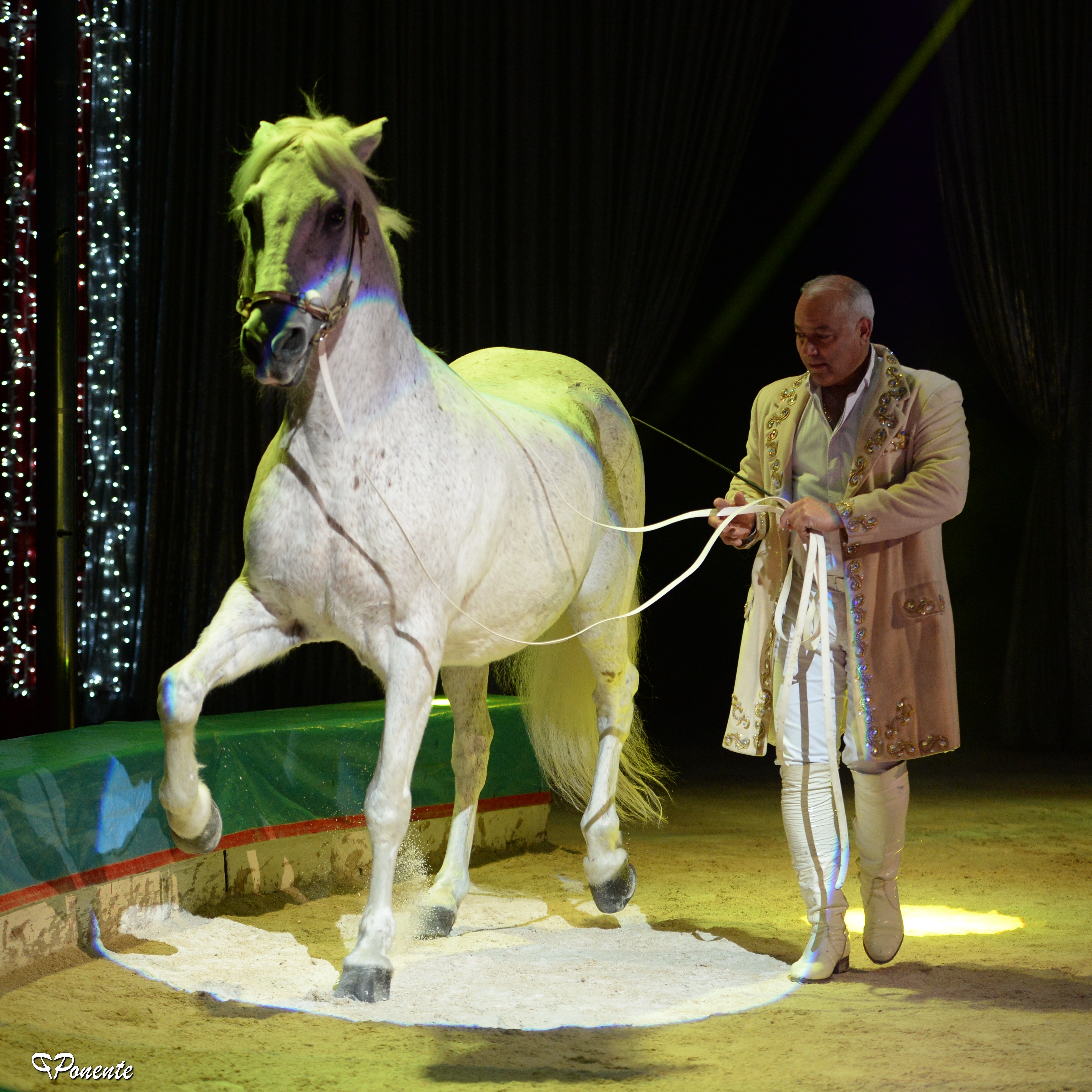 Allegria, divertimento e forti emozioni è lo show del Circo Lidia Togni 