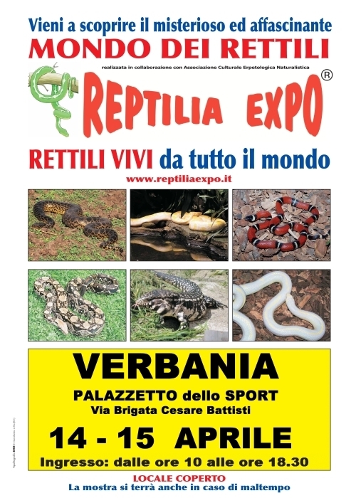 L'affascinante mondo dei rettili  in mostra al Palazzetto dello Sport di VERBANIA