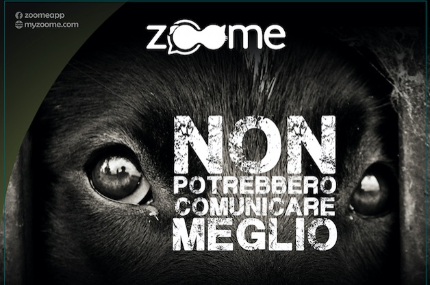 Nasce “Zoome” l’app dedicata agli amici a quattro zampe