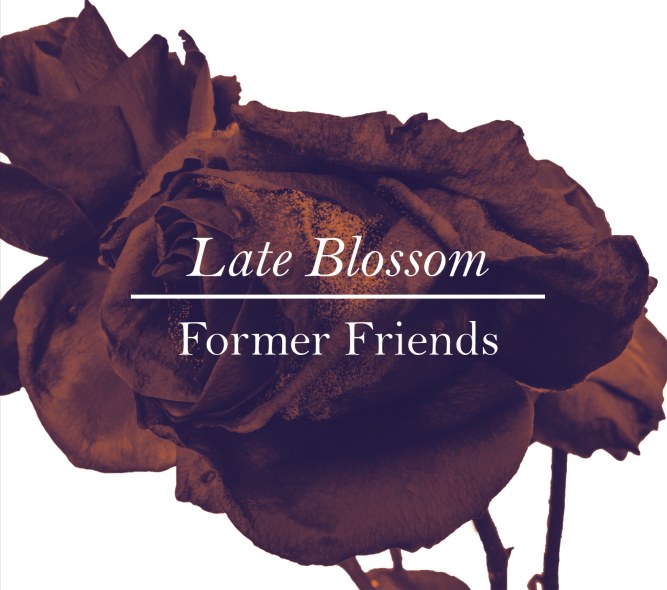  Former friends: nuovo album in uscita