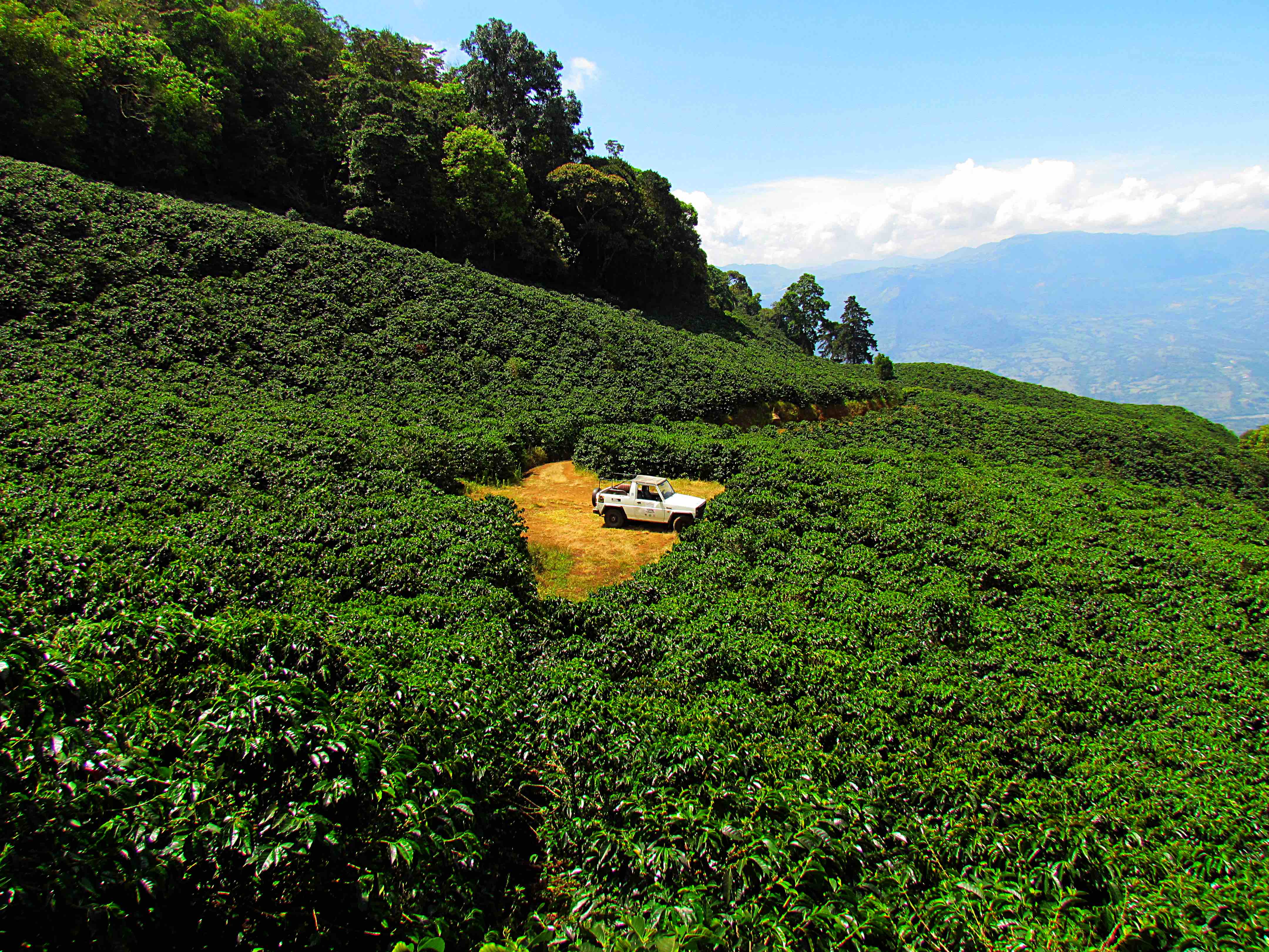 San Cayetano, dalla Colombia  un caffè intenso dal gusto bilanciato