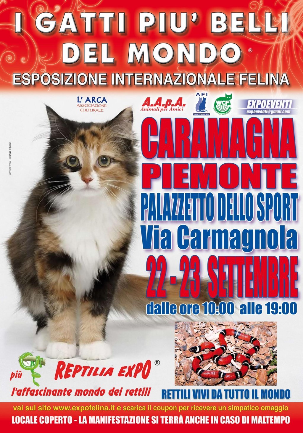 I GATTI PIU' BELLI DEL MONDO - Esposizione Internazionale Felina - a CARAMAGNA PIEMONTE