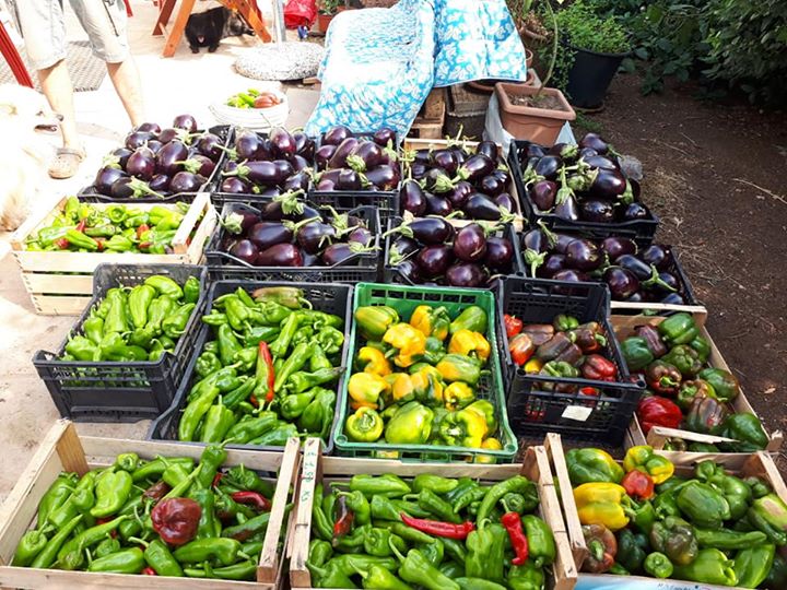 Agriturismo La Botte: la migliore cucina senza glutine!