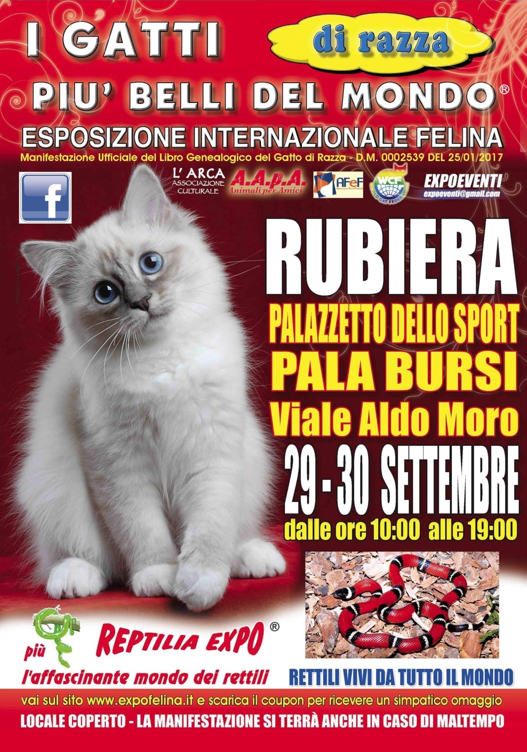 I GATTI PIU' BELLI DEL MONDO in passerella al PalaBursi di Rubiera