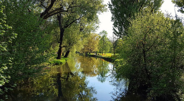 Ponte d'Artista