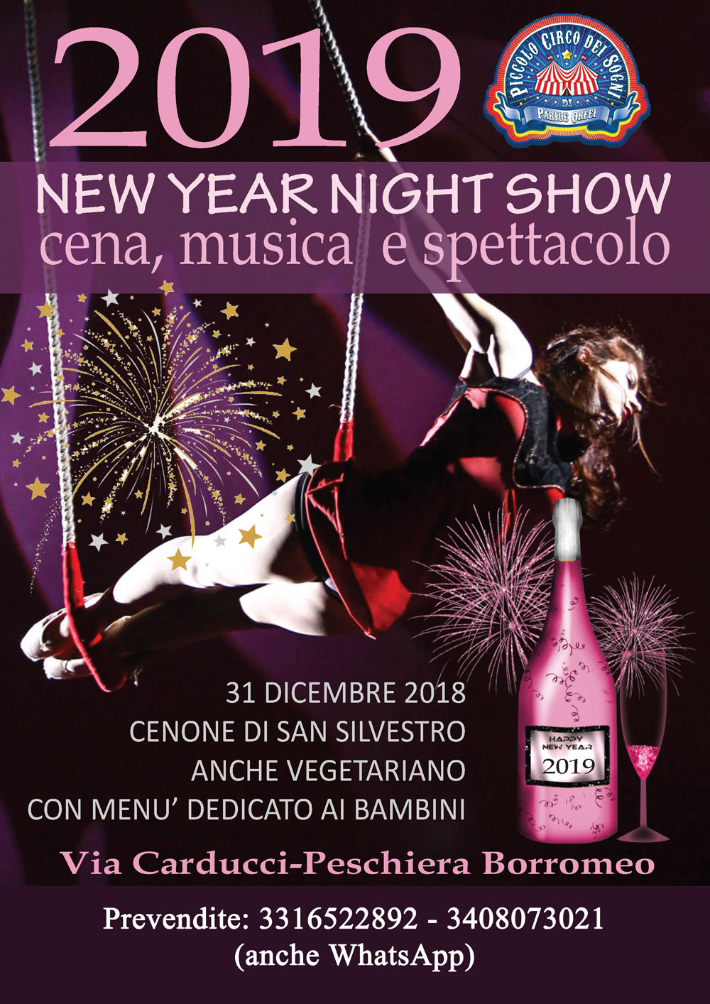 Capodanno 2019 - Cenone, show circense e musica al circo di Peschiera Borromeo (Milano)