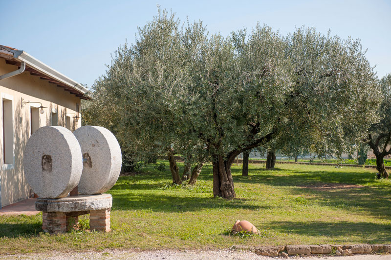 Nuovo successo per il Veneto Valpolicella DOP di Frantoio Bonamini premiato dalla Guida Flos Olei 2019