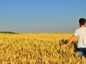 Agricoltura e giovani, in Italia un connubio vincente