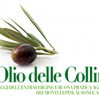  Latina: XIII Concorso provinciale “L’Olio delle Colline”