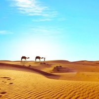 Una mostra sulle antiche civiltà del Sahara I TUAREG TRA MARI DI SABBIA E ROCCE