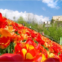 DAL 30 MARZO SBOCCIANO I GIARDINI DI SISSI 