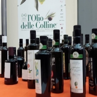  L’Olio delle Colline: i vincitori della XIII edizione