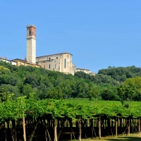 SOPRA E SOTTO I COLLI BERICI:  UN TERRITORIO PRONTO A STUPIRE