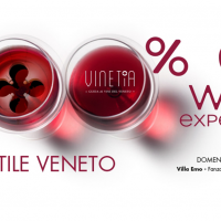 WINE EXPERIENCE A VILLA EMO: 300 MOTIVI PER NON MANCARE