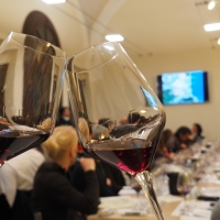 UNA CASA PER I VINI ROCK:  APRE A LONIGO L’ENOTECA DEI COLLI BERICI