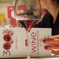 300% WINE EXPERIENCE, QUANDO IL VINO DIVENTA ARTE