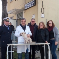 Mariglianella: Comune e Asl Na 3 Sud insieme per incrementare le iscrizioni all’Anagrafe Canina.