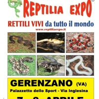 L'affascinante mondo dei rettili in Mostra al Palazzetto dello Sport di GERENZANO (Va)