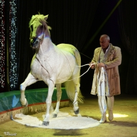 Allegria, divertimento e forti emozioni è lo show del Circo Lidia Togni 