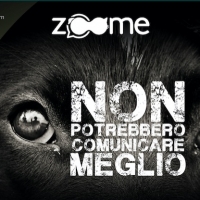 Nasce “Zoome” l’app dedicata agli amici a quattro zampe