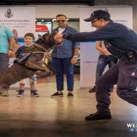 Napoli: Motorexperience con la Polizia Penitenziaria reparto Cinofili