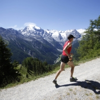 SOLE SULLO STELVIO! MARATHON AL VIA SCENARI UNICI PER UNA CORSA SONTUOSA