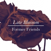  Former friends: nuovo album in uscita