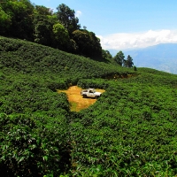 San Cayetano, dalla Colombia  un caffè intenso dal gusto bilanciato