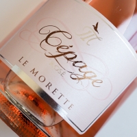 CÉPAGE ROSÉ: LE PRIME BOLLICINE ROSA FIRMATE LE MORETTE