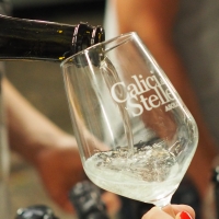 CALICI DI STELLE AD ASOLO:  PROSECCO SUPERIORE DOCG TRA LE VIE DEL BORGO