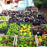 Agriturismo La Botte: la migliore cucina senza glutine!