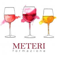 RIVOLUZIONE METERI: AL VIA IL PRIMO CORSO DEDICATO  ESCLUSIVAMENTE AI VINI NATURALI