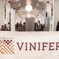 VINIFERA 2019: TORNA L'APPUNTAMENTO CON  I VINI ARTIGIANALI  DELL’ARCO ALPINO