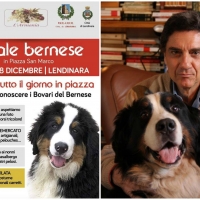 Natale Bernese a Lendinaria