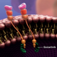 Leucemia Mieloide Acuta: presentate le analisi conclusive sullo studio Quantum R